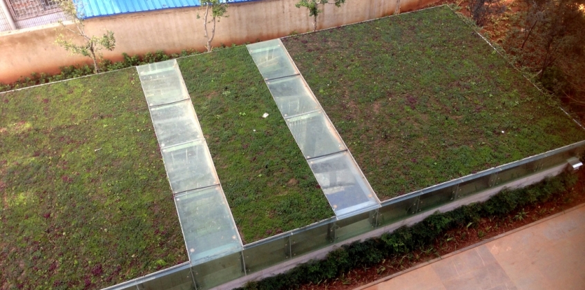 Lightweight green roof 4