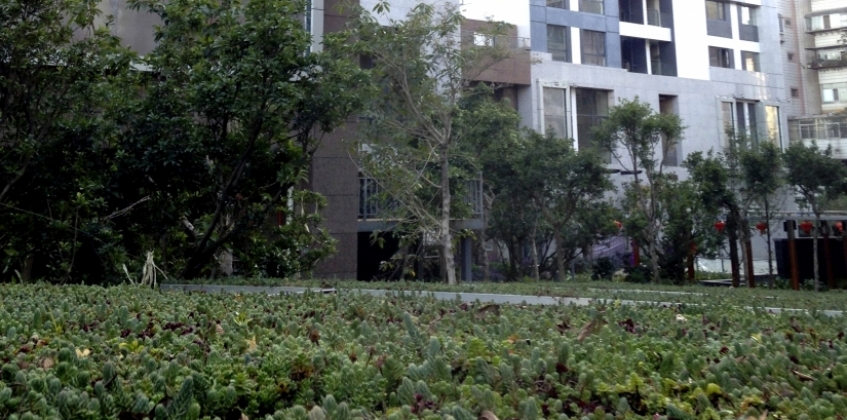 Lightweight green roof 3