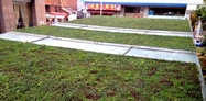 Lightweight green roof 1