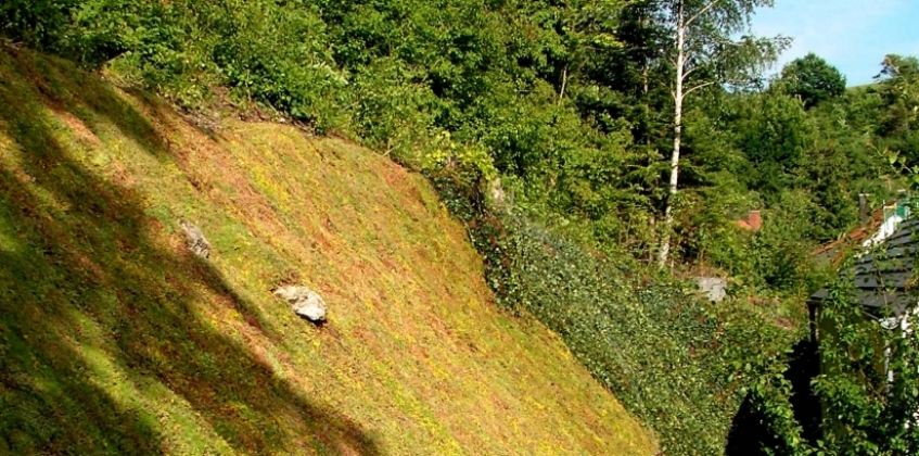 Steep slope 1