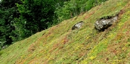 Steep slope 4