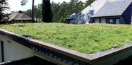 Residential green roof  1