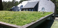 Residential green roof  2