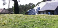 Residential green roof  3