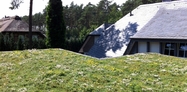 Residential green roof  6