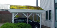 Green roof carport 1