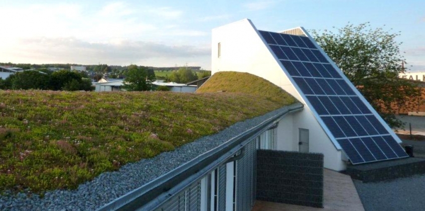 Undulating green roof 1
