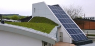 Undulating green roof 2