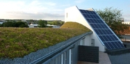 Undulating green roof 1
