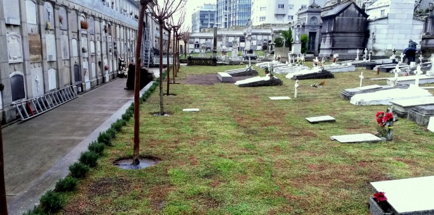 Cemeterio San Amaro 1