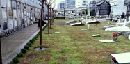 Friedhof 1