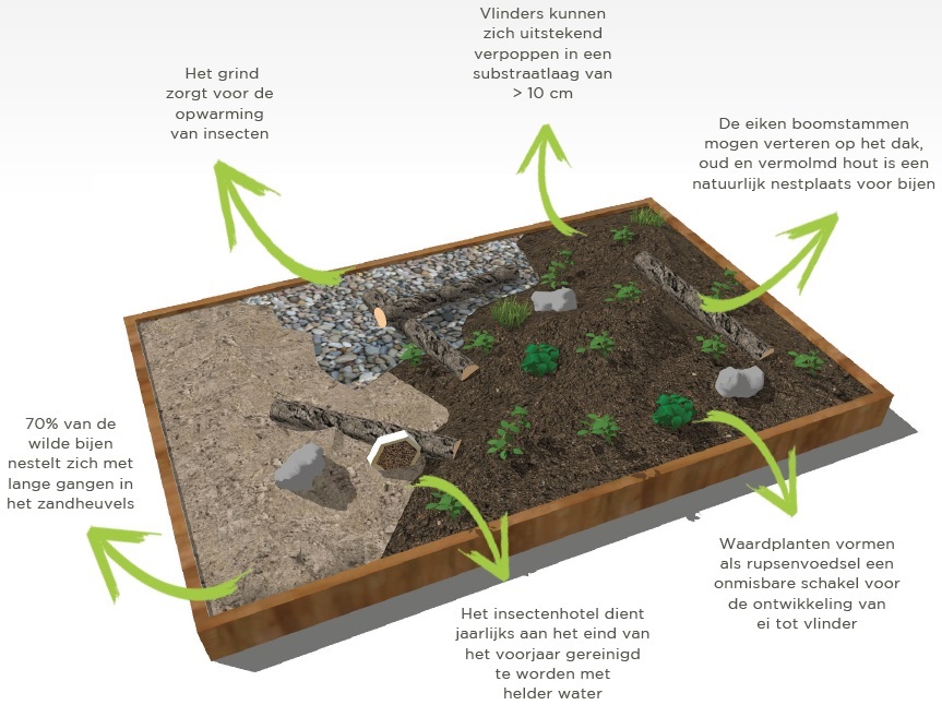 De samenstelling van het biodiversiteitspakket: grind, zand, waardplanten, insectenhotel, boomstammen