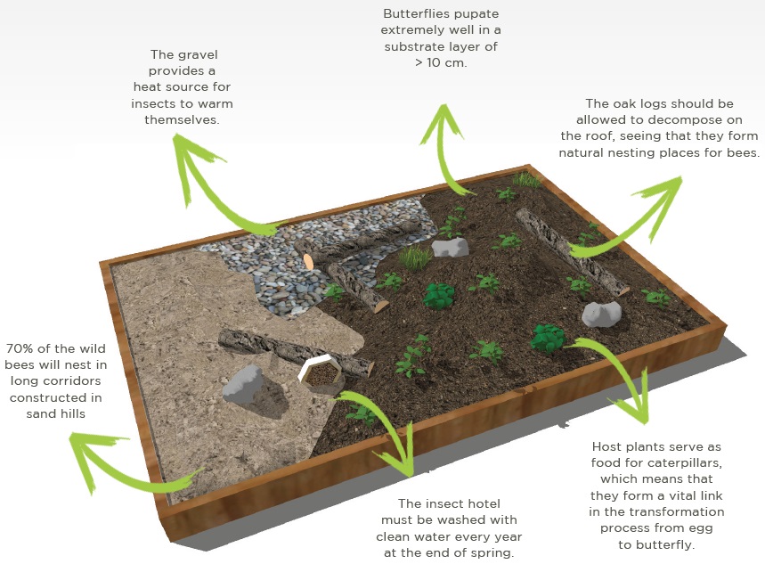 The Biodiversity Package consists of: gravel, sand, oak logs, host plants and an insect hotel