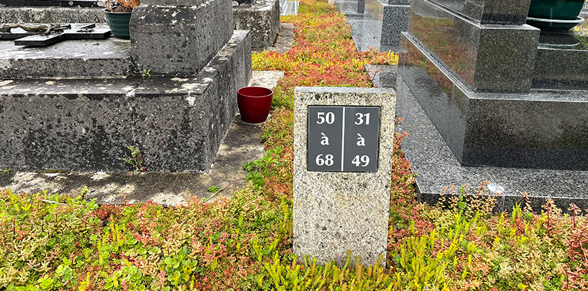 Cimetière de Saint-Avé 6