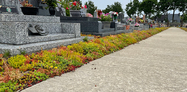 Cimetière de Saint-Avé 1