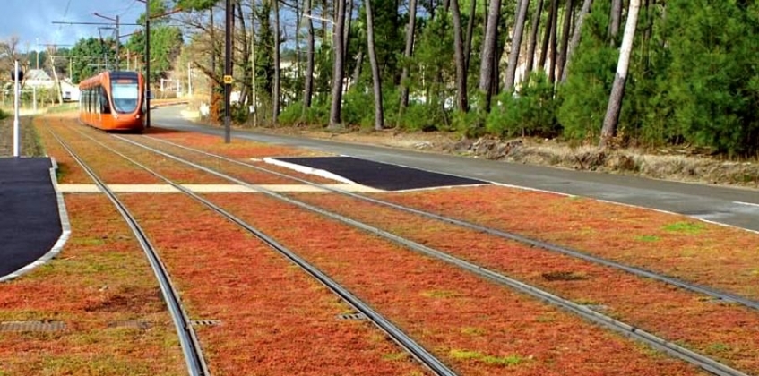 [Image: FR_Le_Mans_Tramway_Infra_couvre-sol_1.jpg]