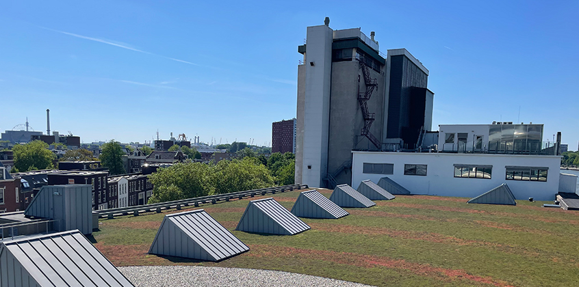 FENIX Rotterdam 3