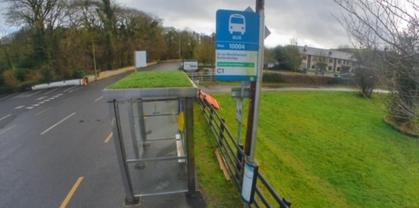 Bee-friendly bus shelter 2