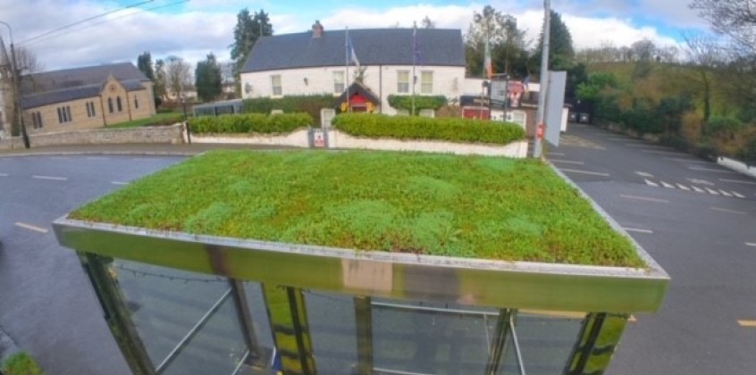 Bee-friendly bus shelter 4