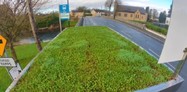 Bee-friendly bus shelter 1