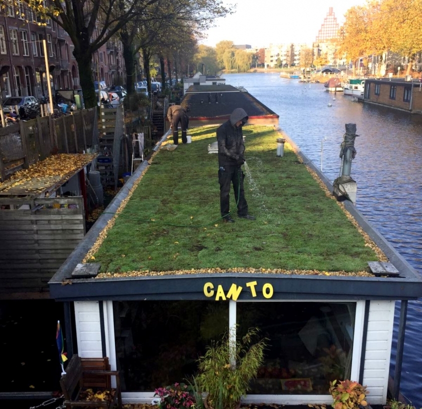 Sedumdak op woonboot Amsterdam met Sempergreen Sedummatten