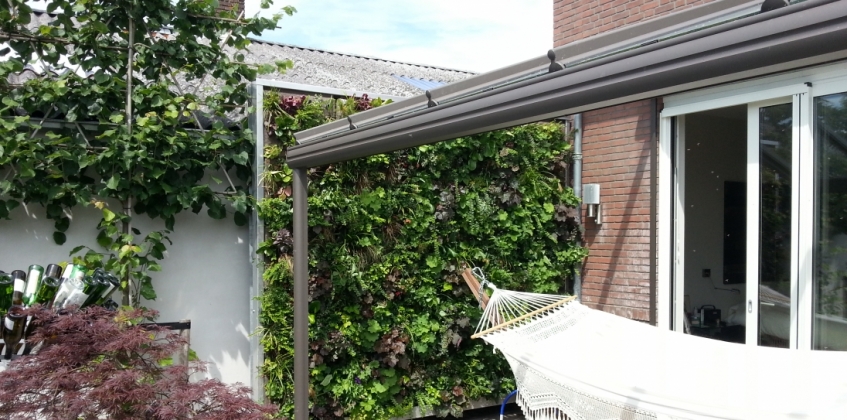 Privé tuin  3