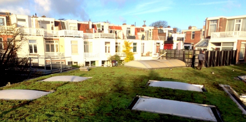 Roof with Rooflights 1