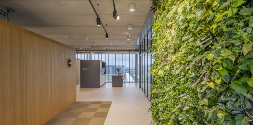 Immeuble de Bureaux 7