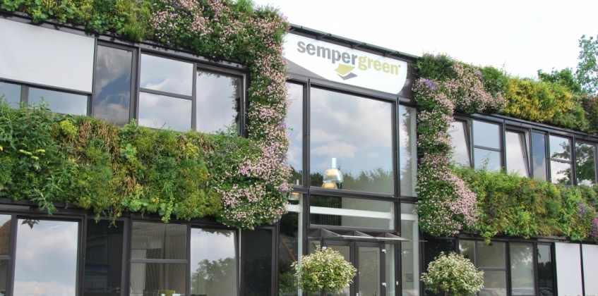 Hauptsitz Sempergreen 1