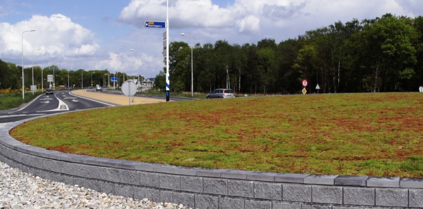 Roundabout Oldenzaal 1
