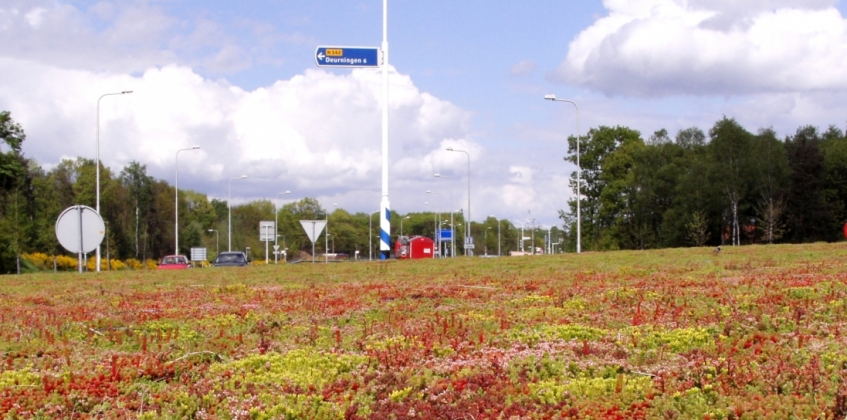 Kreisverkehr Oldenzaal 3