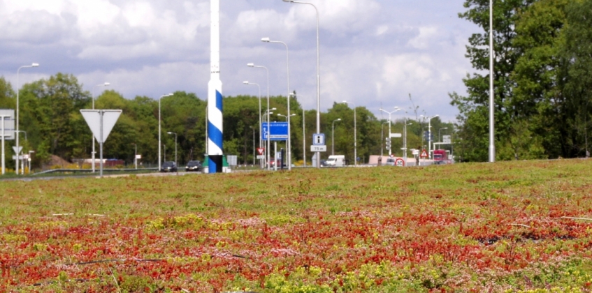 Kreisverkehr Oldenzaal 4
