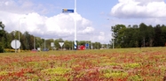 Roundabout Oldenzaal 3