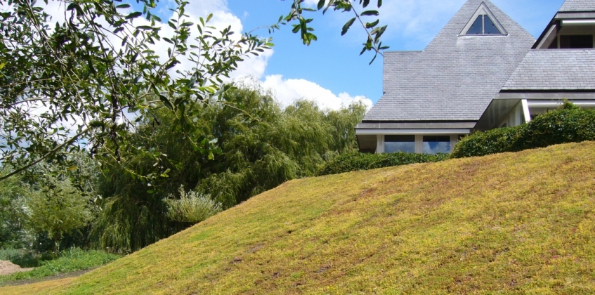 Steep slope covered with Sedum for erosion resistance - Sempergreen