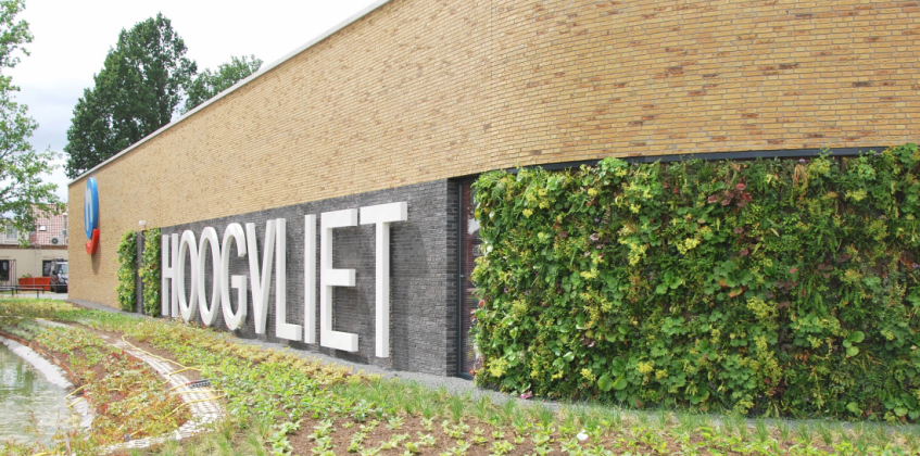 Hoogvliet supermarket 2