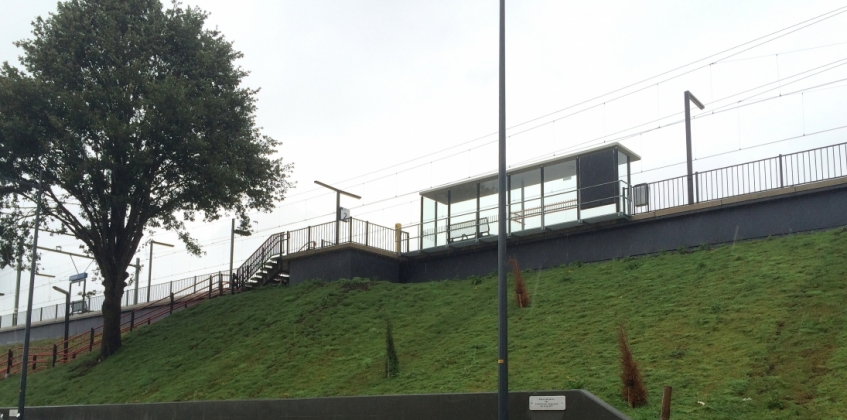 Steep slope covered with Sedum for erosion resistance - Sempergreen