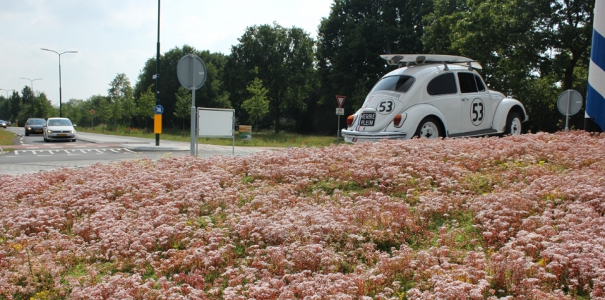 Roundabout De Bilt 1