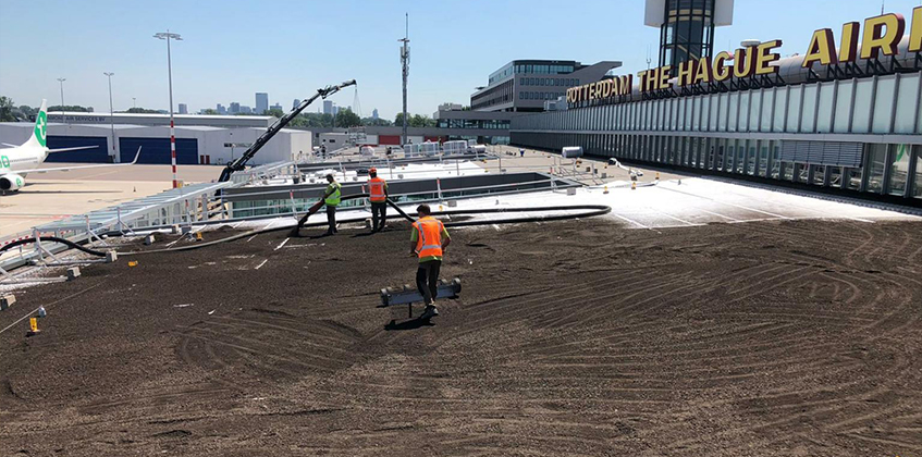 Green roof Terminal 3