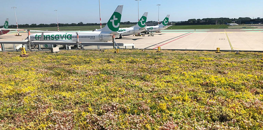 Aéroport terminal  4