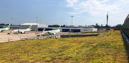 Green roof Terminal 2