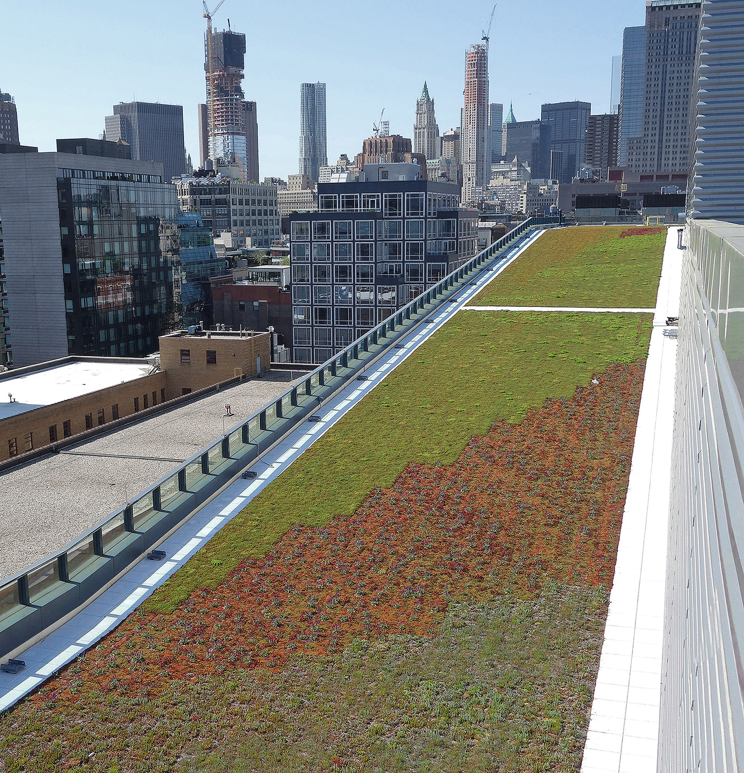 Expanding Green Roofs in NYC is win for environment 