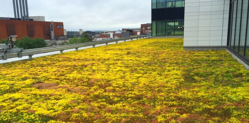 Karolinska Hospital 5