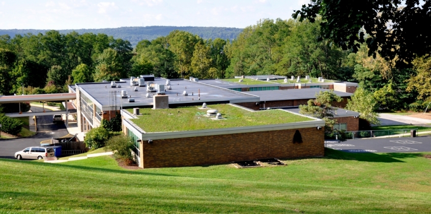 École primaire Hillside 1