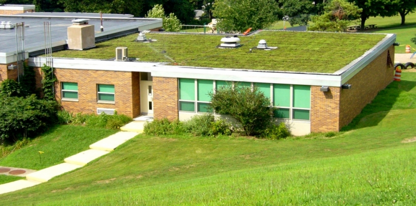 École primaire Hillside 2