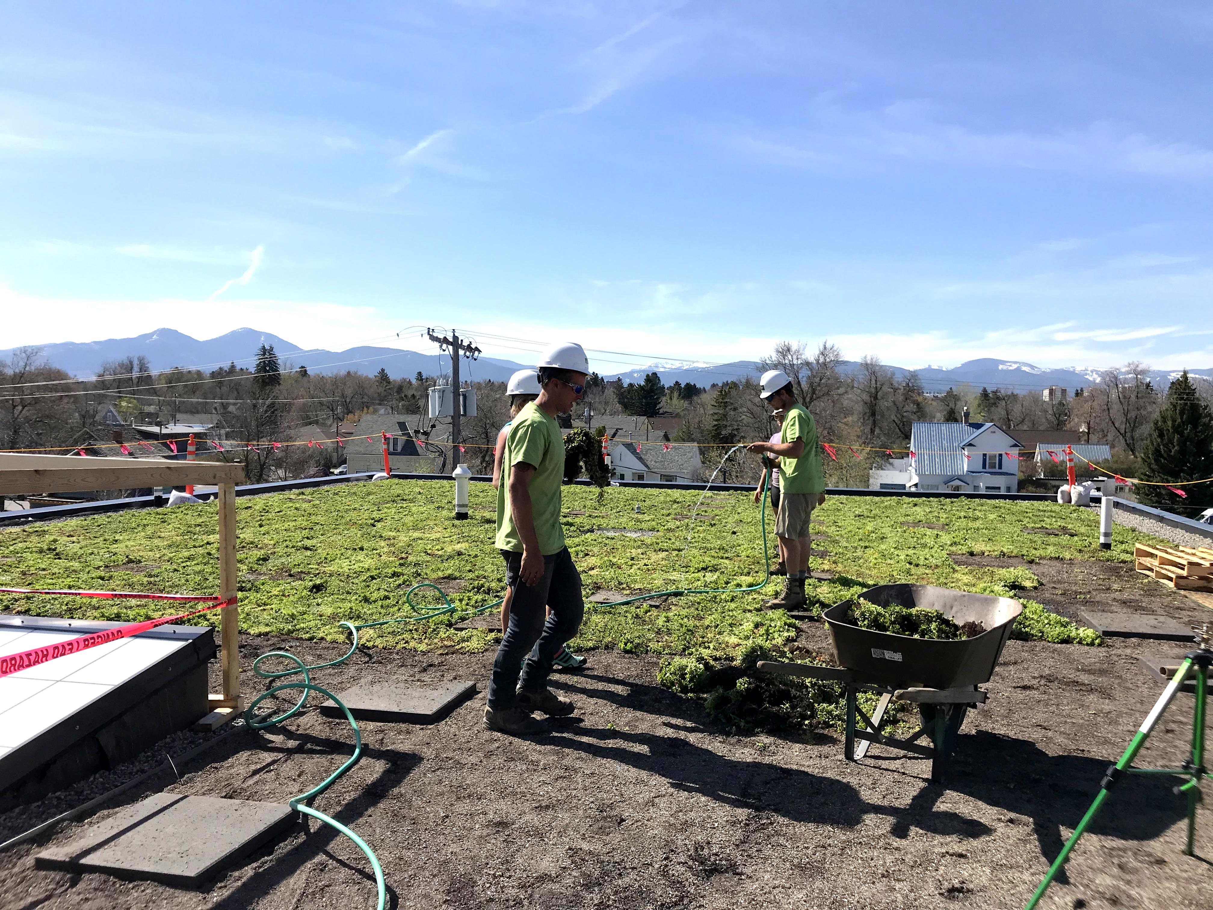 Bozeman Co-op expands with new sustainable building featuring a green roof