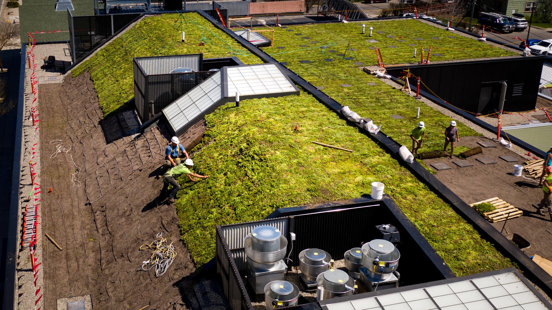 Installation green roof Bozeman Co-op