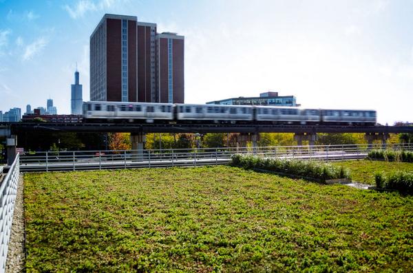 Chicago Bulls Training Facility with Sempergreen Green Roof