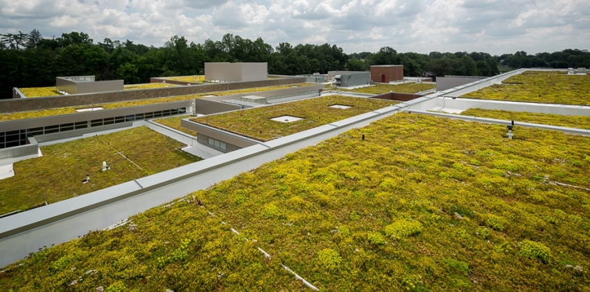 Sponge roof - resist runoff