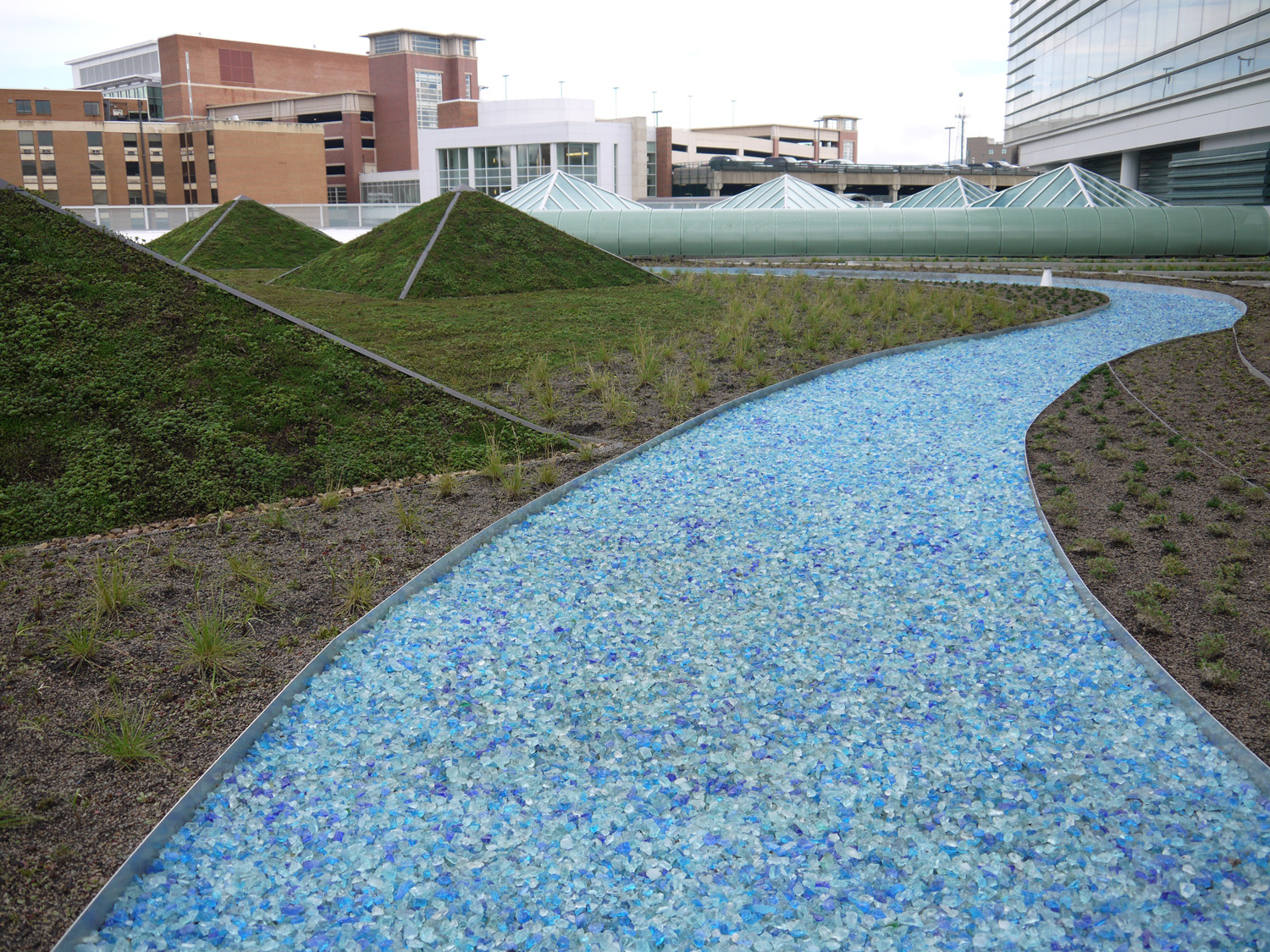 Healing environment University of Virginia Hospital with Sempergreen Sedum roof