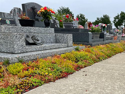 Cimetière de Saint-Avé